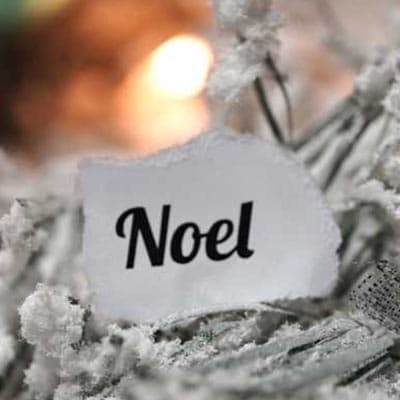 Organisation arbre de Noël