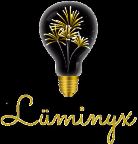Lüminyx - Spectacles Pyrotechniques
