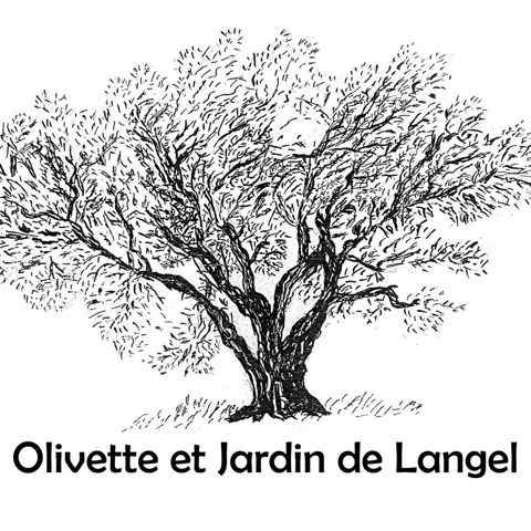 Olivette et Jardin de Langel
