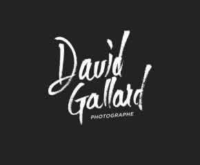 DAVID GALLARD