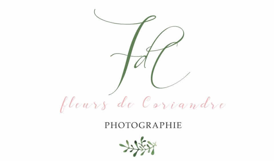 FLEUR DE CORIANDRE PHOTOGRAPHIE