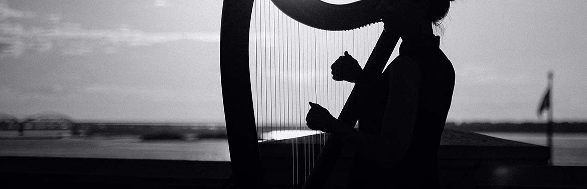 Harpiste à Lille