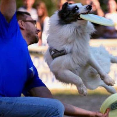 Spectacle animalier