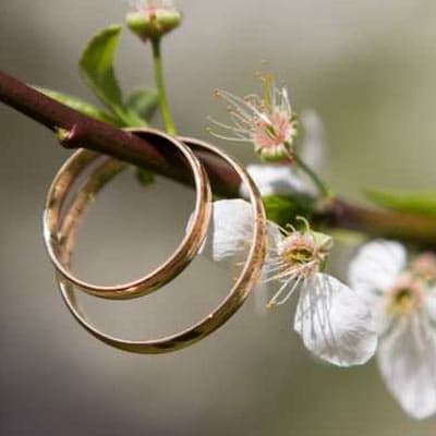 Organisation de mariage