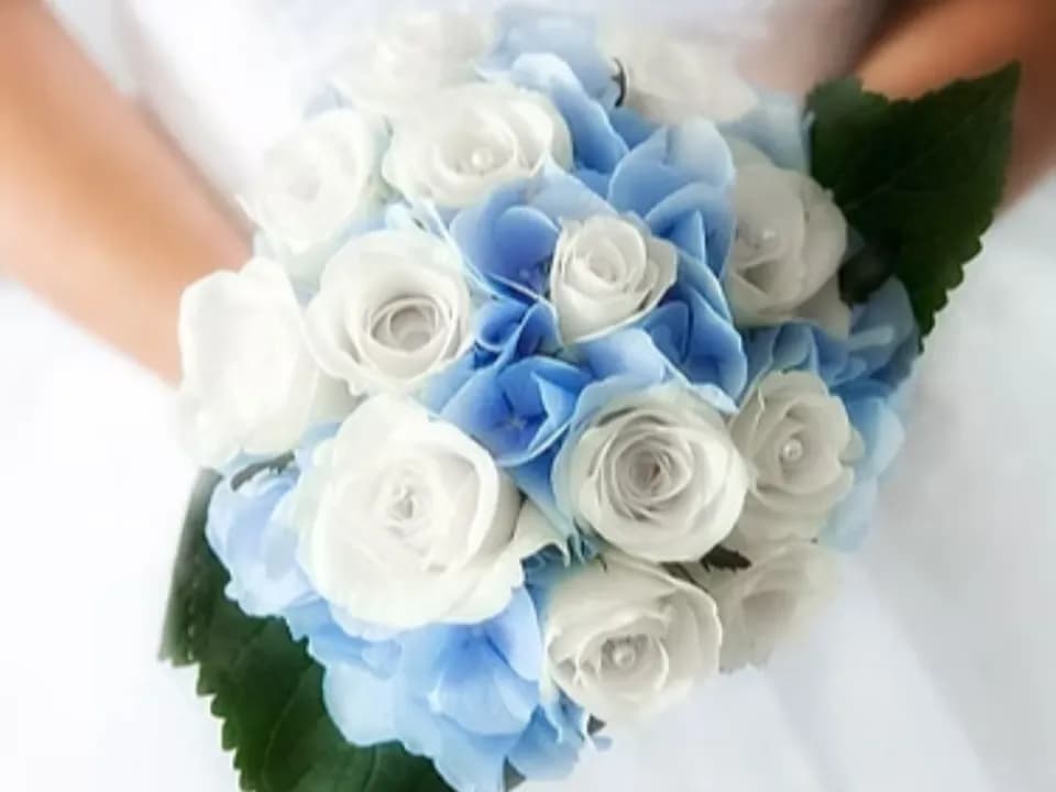 Photo 0