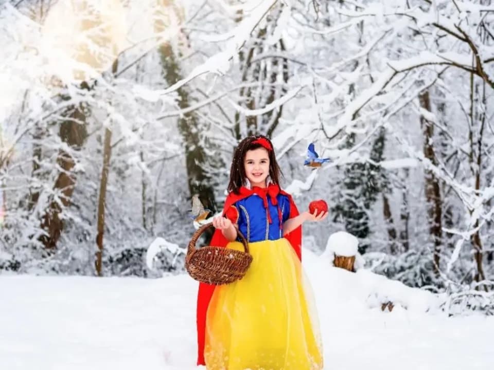 Photo 4