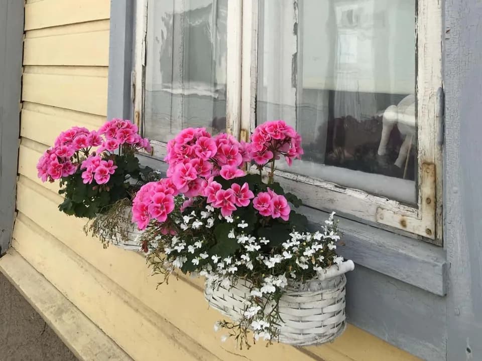 Photo 0