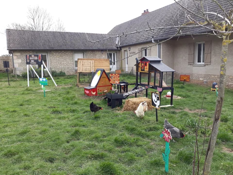 Photo 5