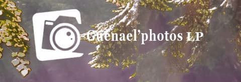 Photo 0