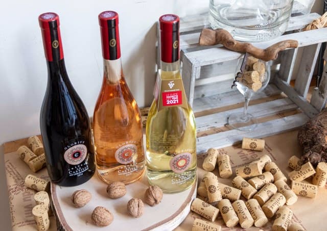 Photo 5
