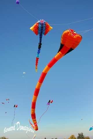 image-14