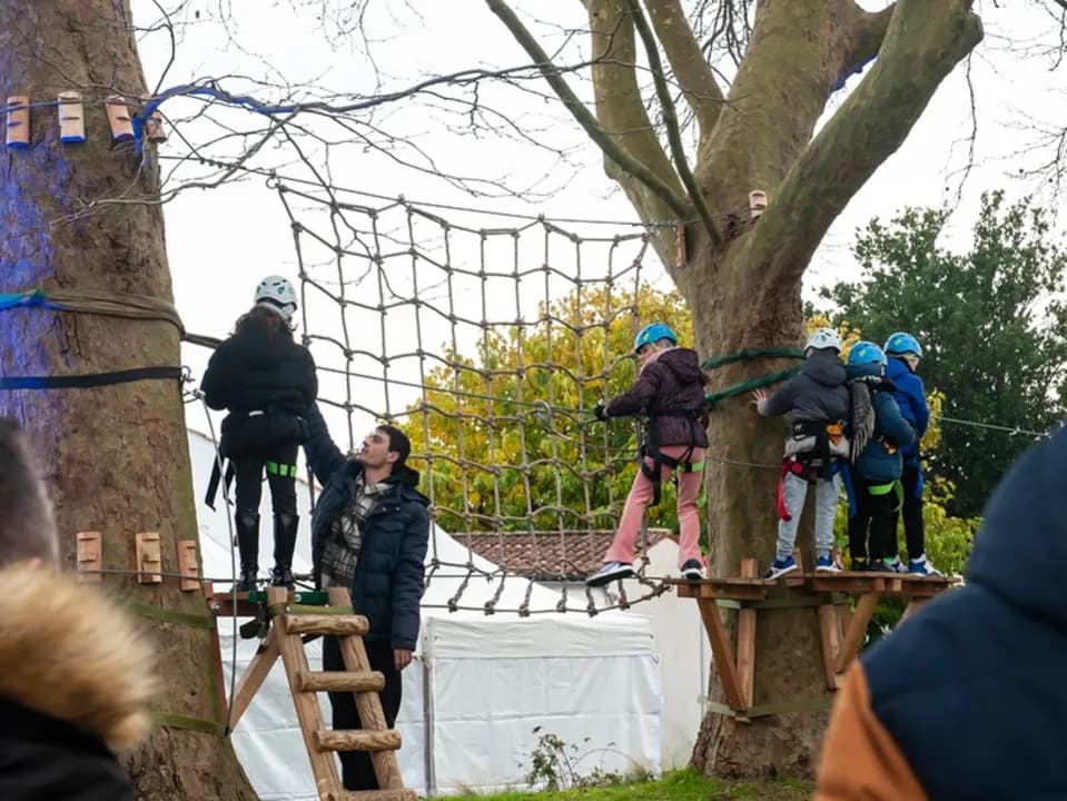 Photo 5