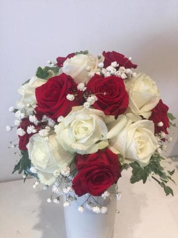 image-14