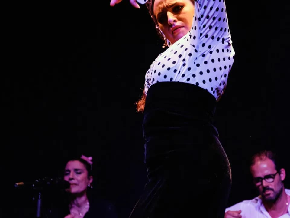 Photo 5