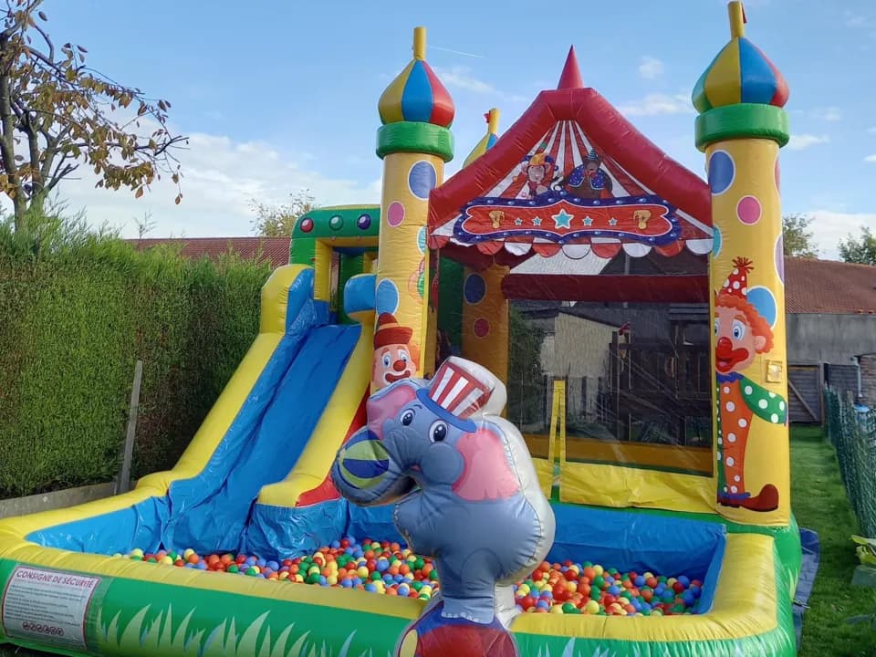 image-6