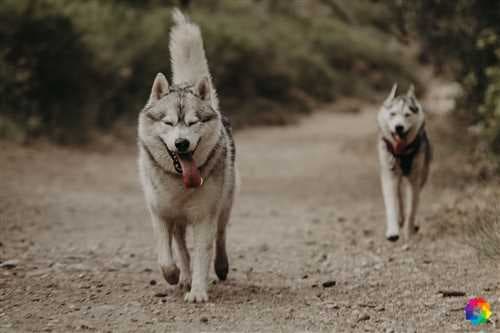 Photo 0