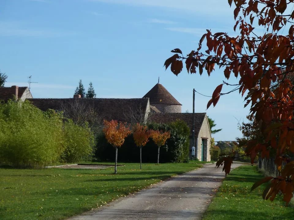 image-6