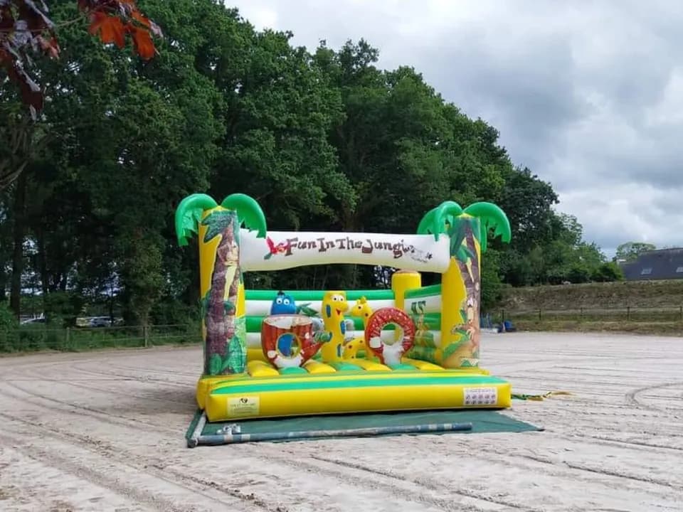 image-4