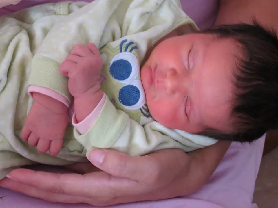 image-6