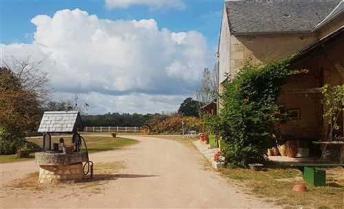 image-0