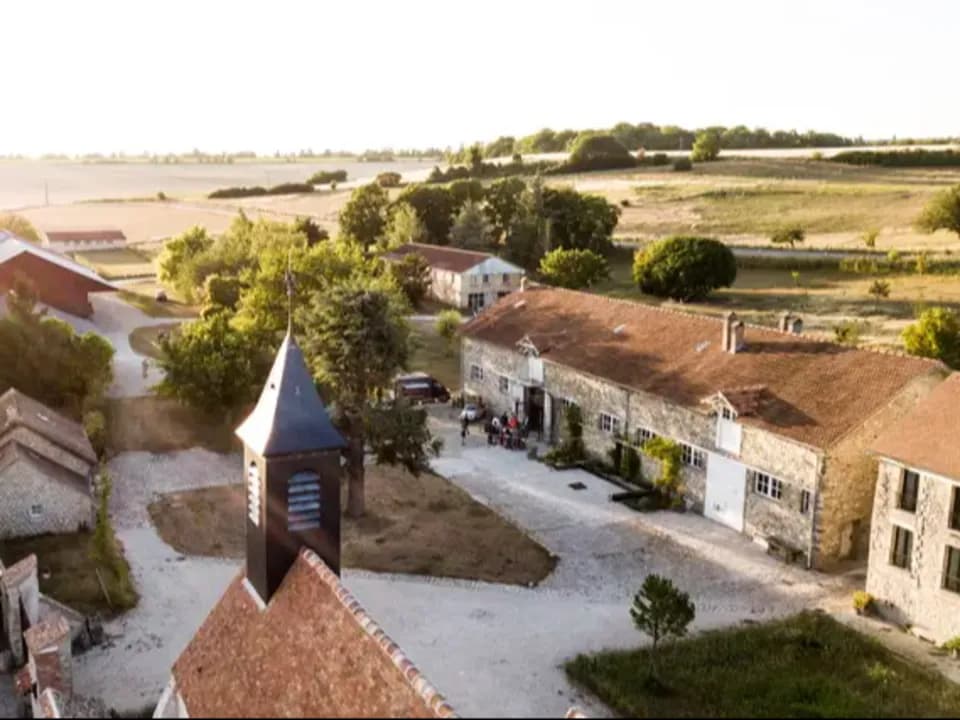 image-7