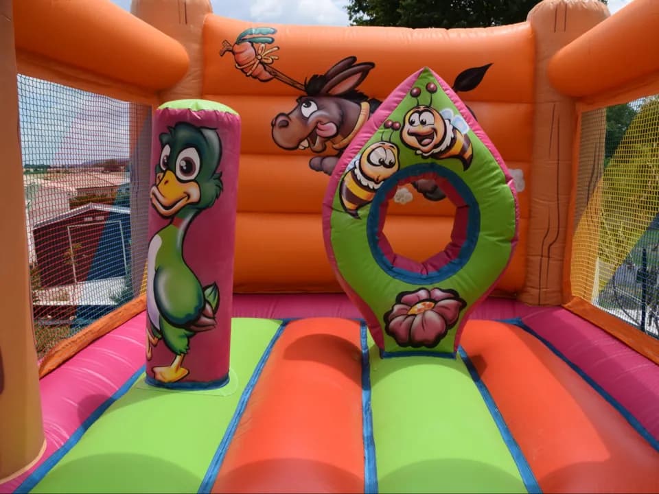 image-4