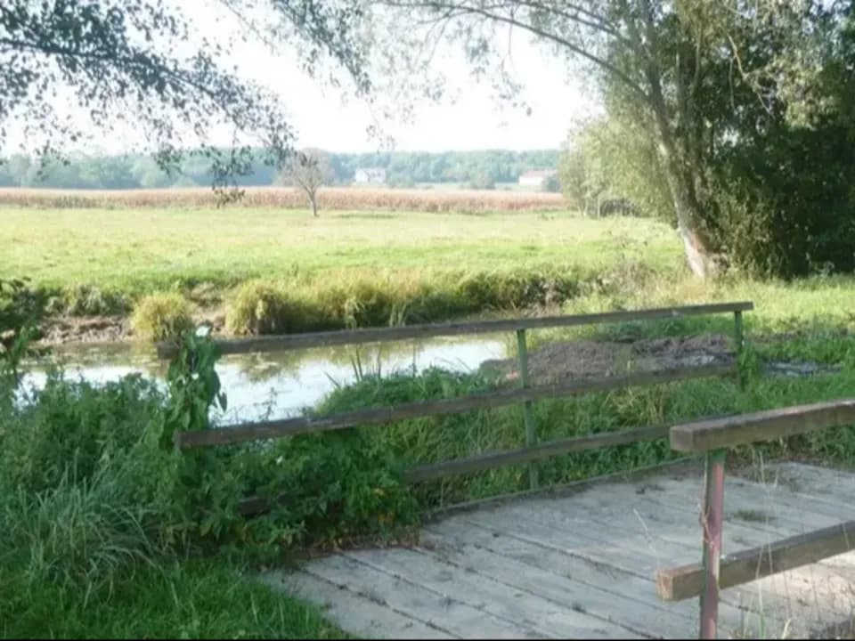 Photo 0