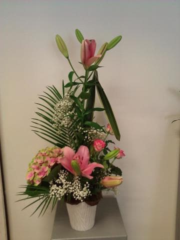Photo 4