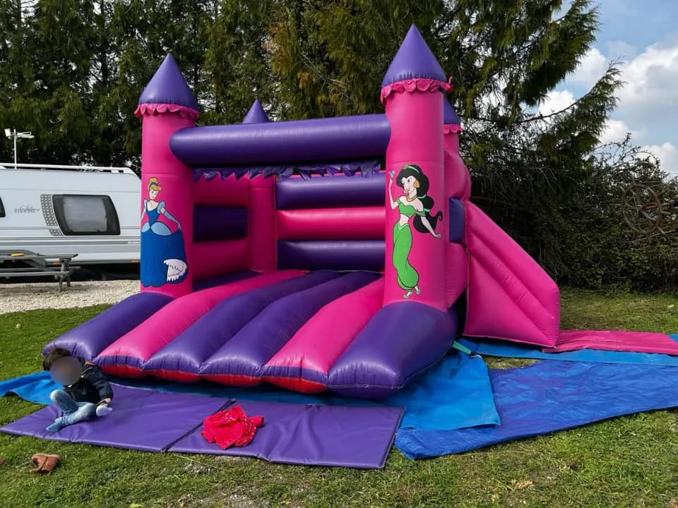 image-7