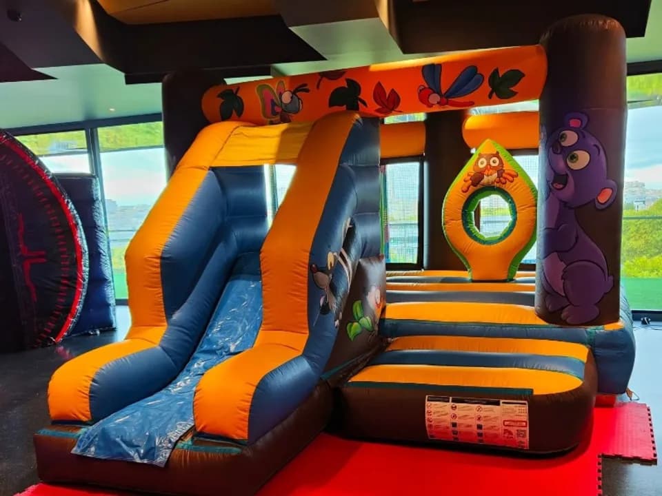 image-2