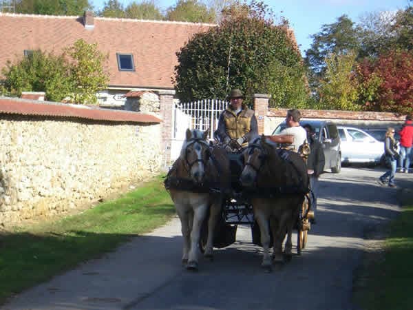 Photo 0