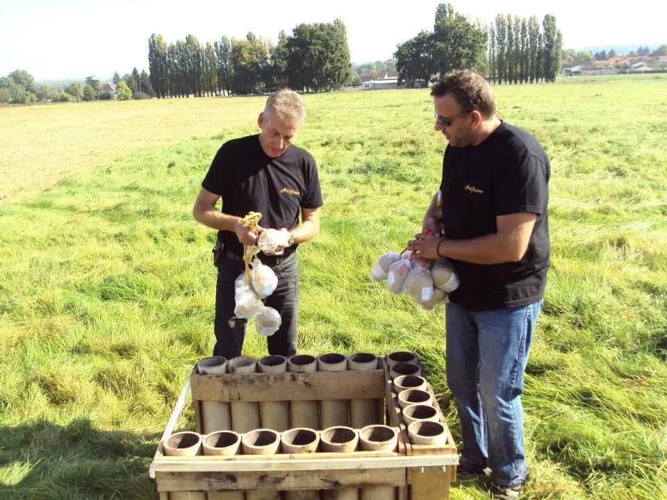 Photo 4