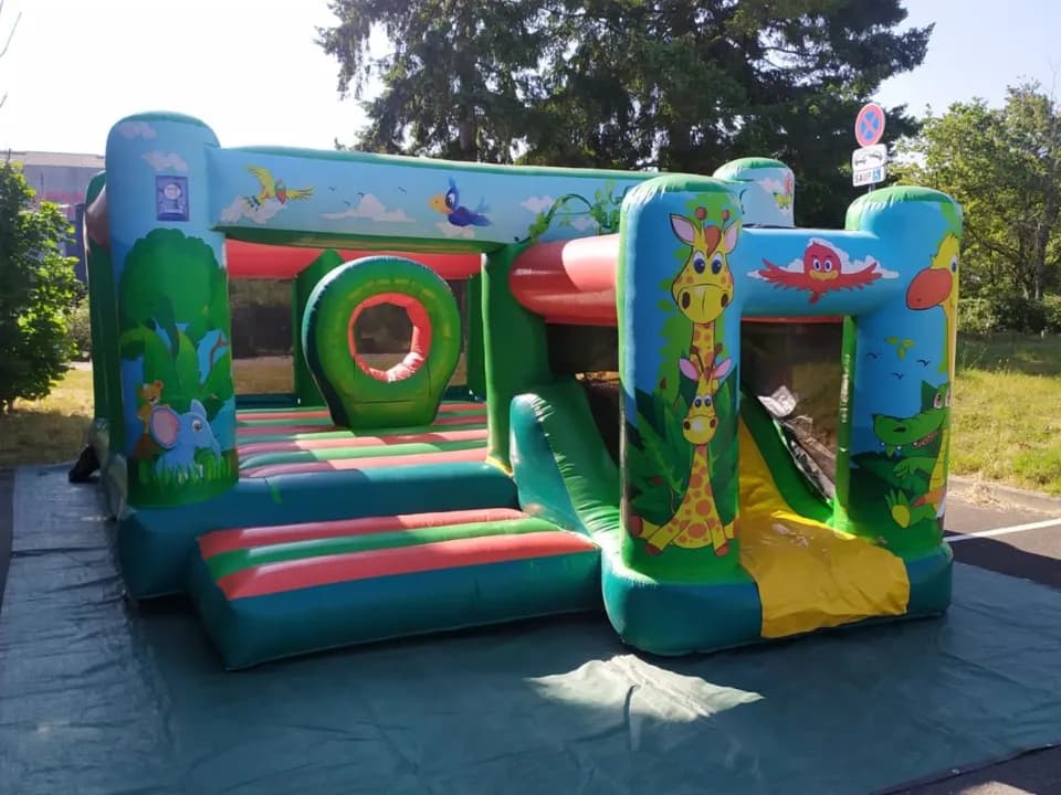 Photo 0