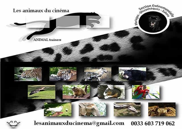 Photo 0