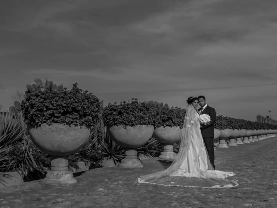 Photo 4