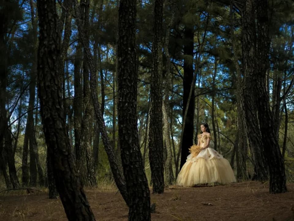 Photo 3