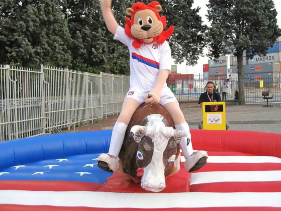 image-7