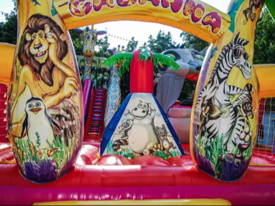image-6