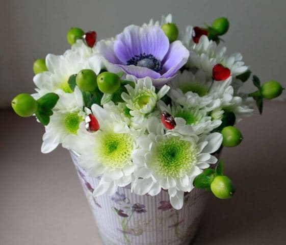 image-6