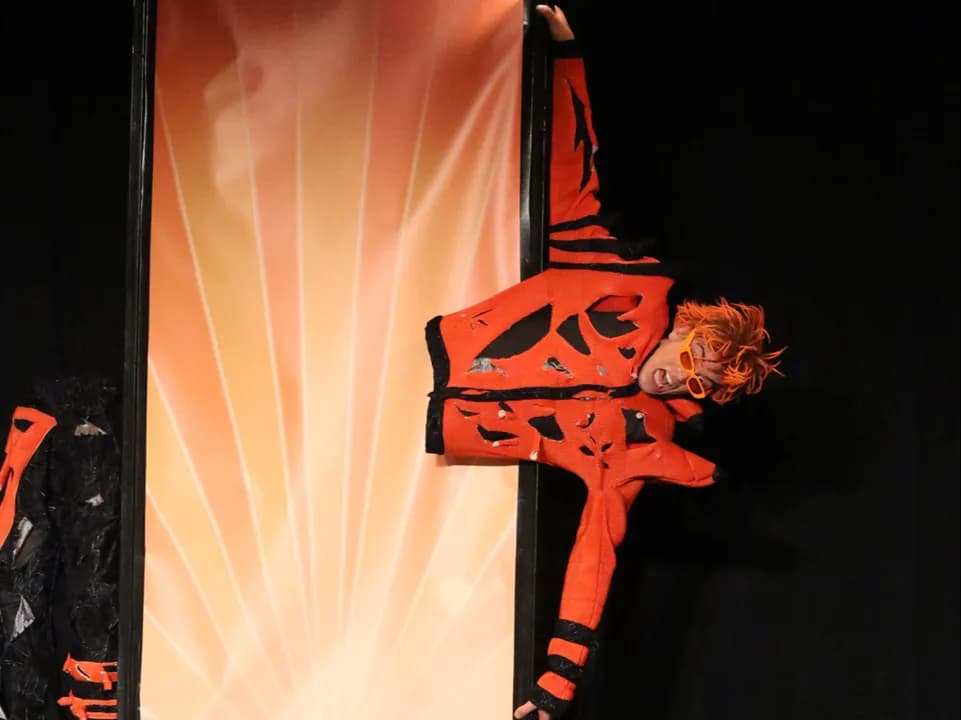 image-7