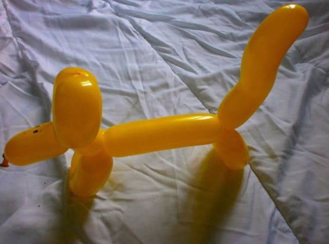Photo 4