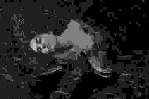 Photo 0