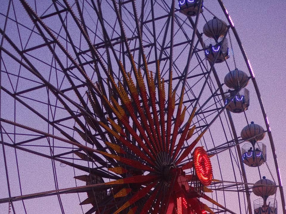 Photo 4