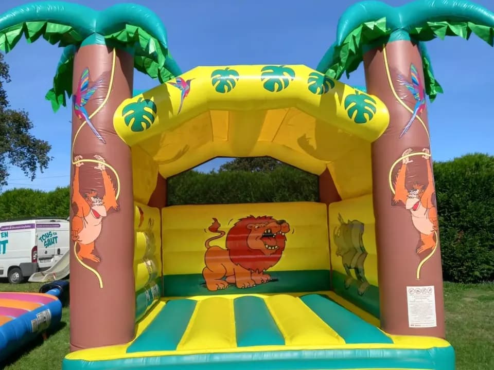 image-7