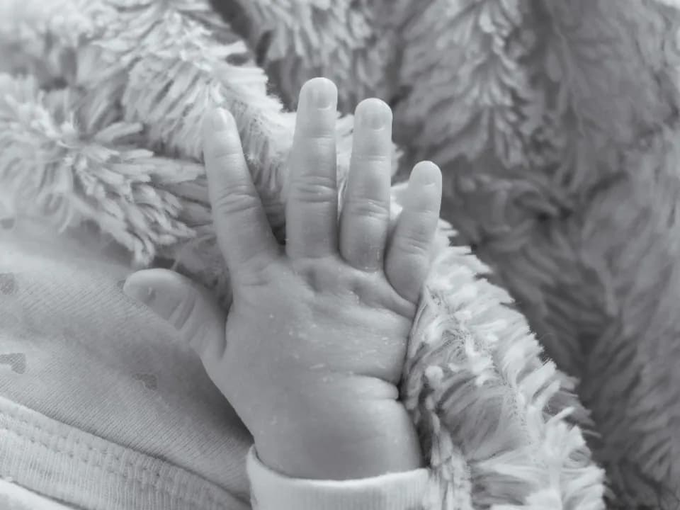 Photo 0