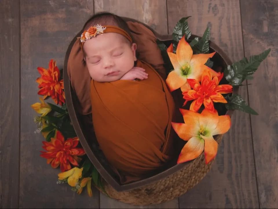 Photo 5