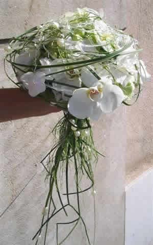 Photo 0