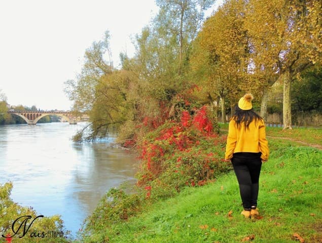 Photo 0