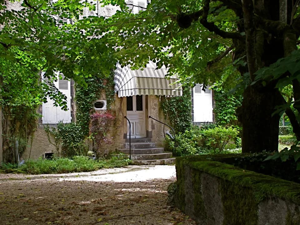 Photo 5