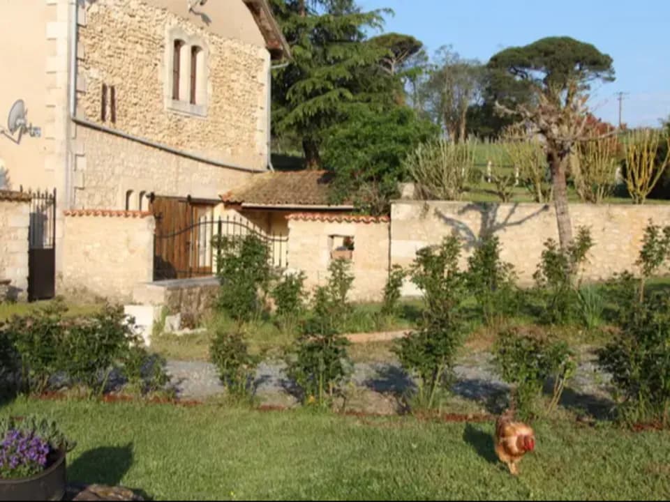 Photo 1